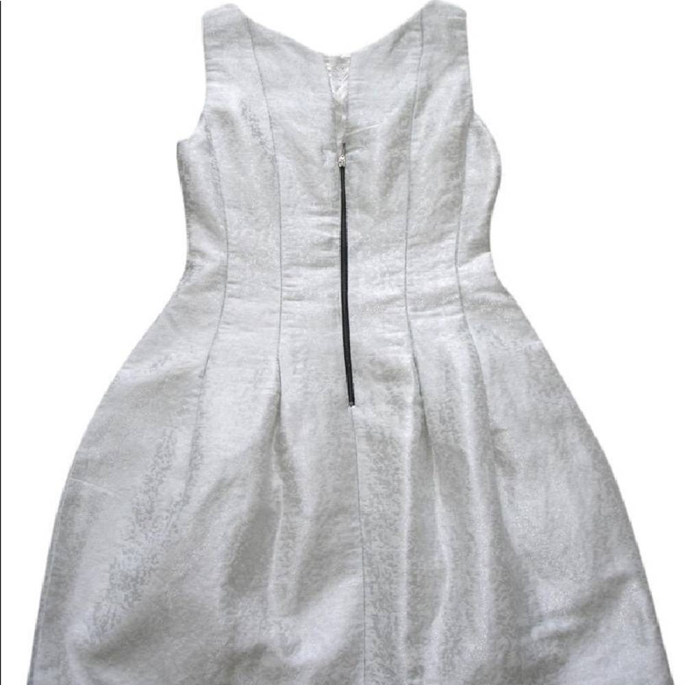Zara Tulip Silvery Dress - Picture 8 of 8